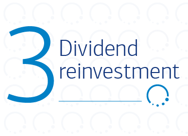 3 Dividend Reinvestment