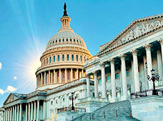 Article Image - The United States Capital building