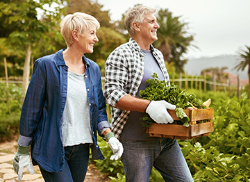 Article Image - A couple carrying a wooden box of vegetables through a garden