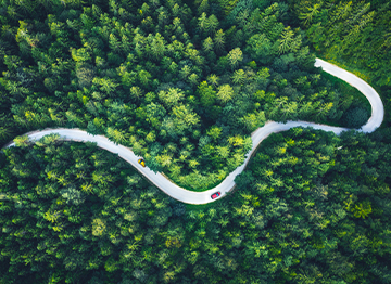 Article Image - Arial view of a winding road through a forest. Learn about investing in a sustainable world.
